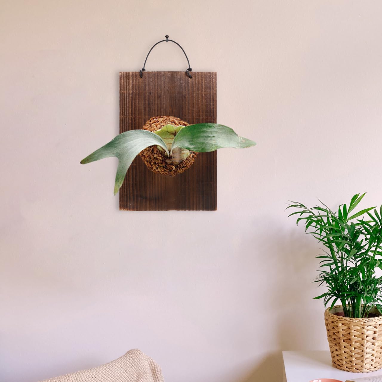 ORFOFE Fern Hanging Plaque 9.76X6.77X0.70In Solid Wood Rustic Sign Decor for Indoor Succulents Climbing Plants Vertical Plant Mounting Board
