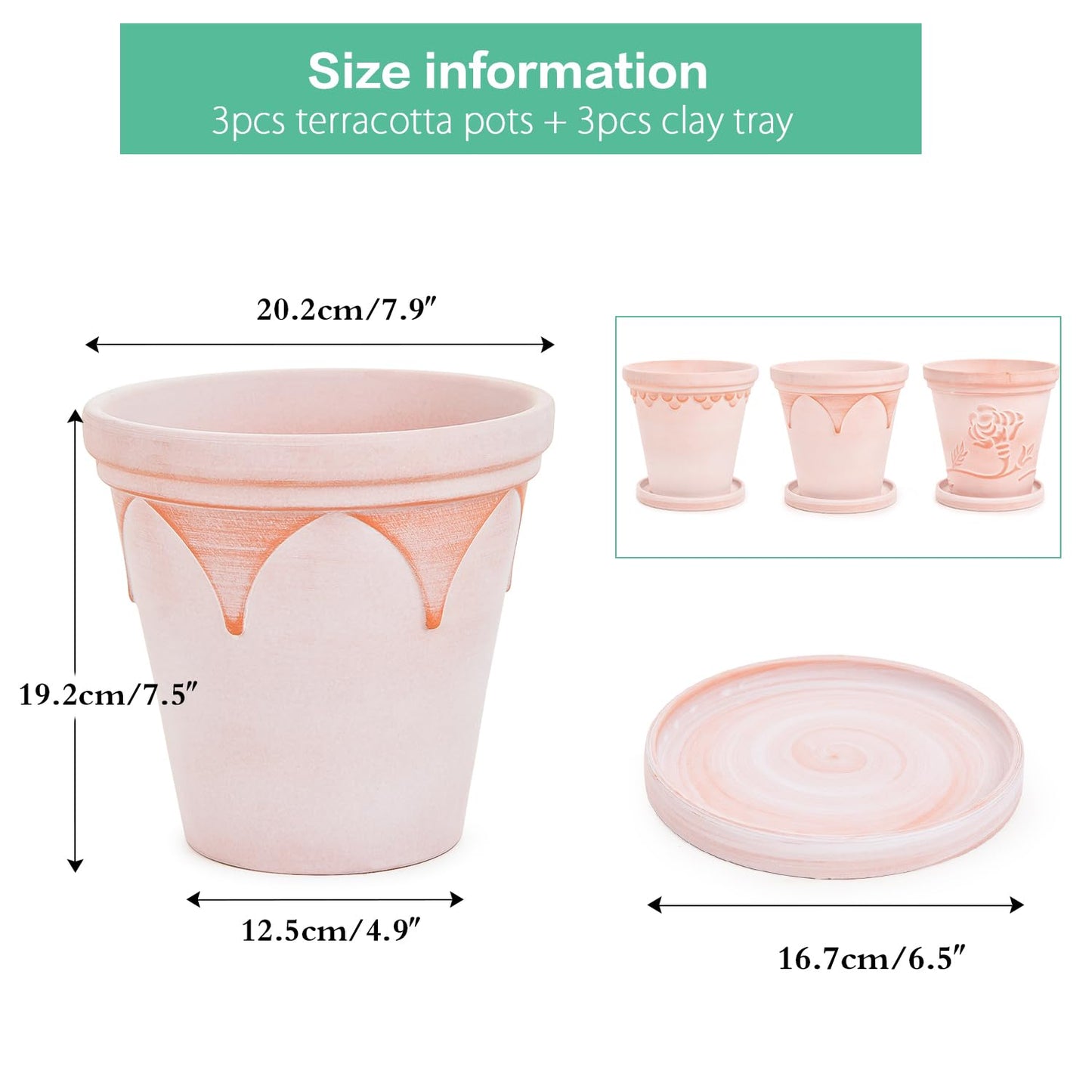 Sungmor Terra Cotta Pot Set - 3 Unique Embossed Clay Planters with Saucer & Drainage, 8 Inch Large & Deep, Pretty Color, Ideal for Orchid, Cactus, Succulent