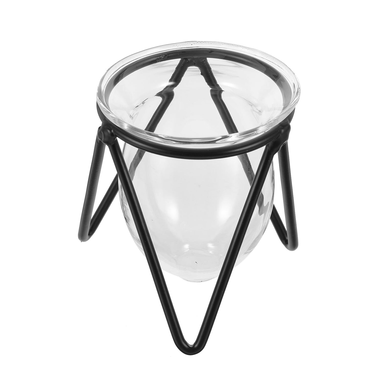 Ipetboom 6pcs Black Iron Art Hydroponic Glass Vases Small Terrarium Plant Holders for Home Decoration Desktop Water Containers