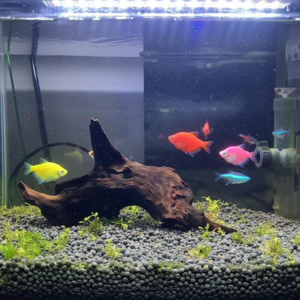 emours Aquarium Driftwood Fish Tank Decoration Varies Shape and Size (Medium)