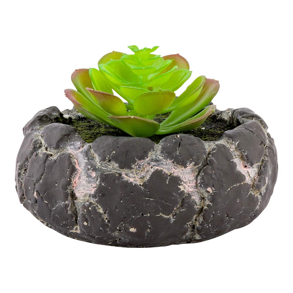 Restaurantware-6 x 4.5 Inch Faux Succulent, 1 Artificial Succulent - In Cement Planter, Use As Table Or Shelf Decor, Centerpiece, Plastic Desk Plant, Planter Mimics The Look Of Volcanic Rocks