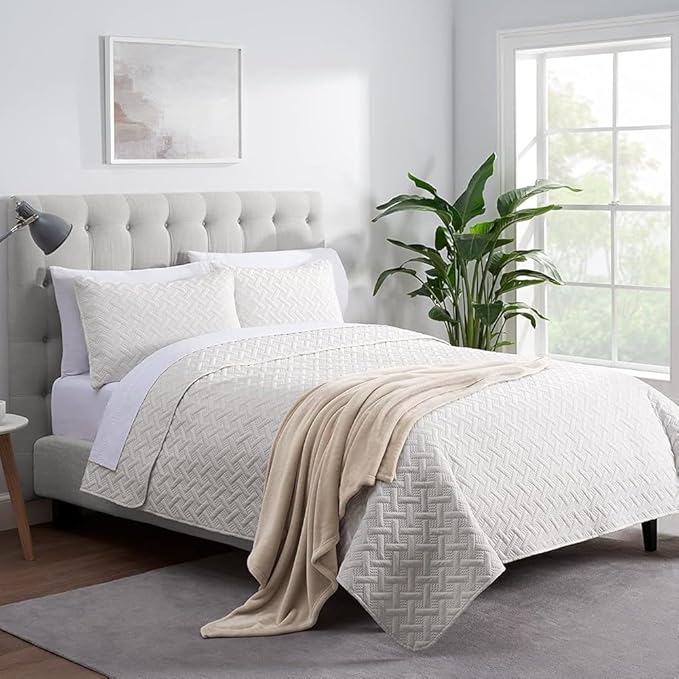 SERTA Cozy Plush Thick Fuzzy Super Soft Lightweight Throw Blanket for Bed, Couch, or Travel, Twin (60 in x 80 in), Taupe
