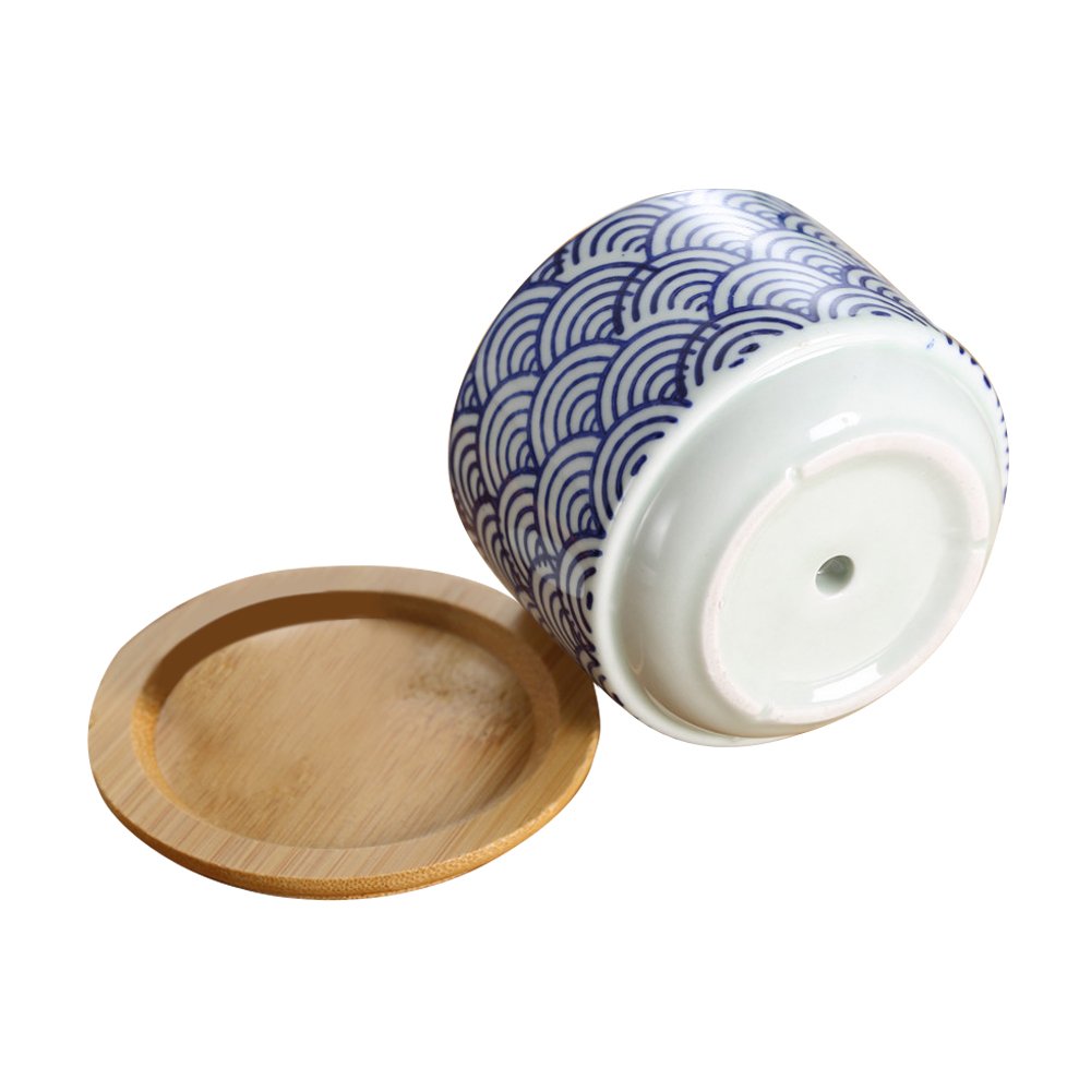 GeLive 3 Inch Ceramic Succulent Planter, Cactus Plant Pot, Flower Container with Bamboo Drip Tray, Indoor Outdoor, Set of 2 (Wave and Blue Flower)