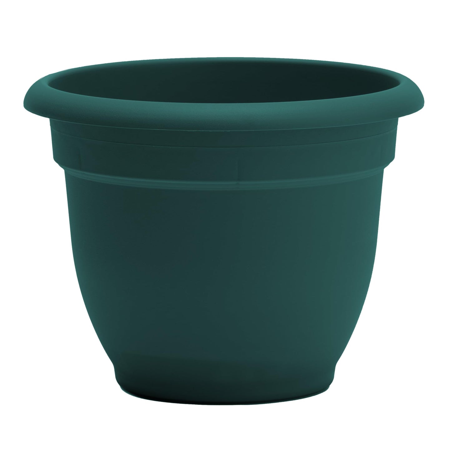 Bloem Ariana 12" Self-Watering Plastic Planter - Rolled Rim Indoor/Outdoor Garden Pot, Charleston Green, 2-Pack