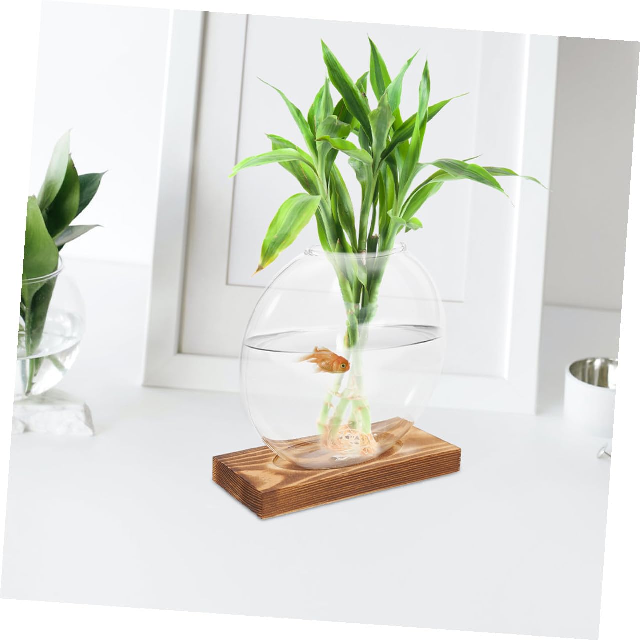 FUTUREORYY 2pcs Indoor Plant Vase with Wooden Base, Hydroponic Glass Planter for Propagation, Desktop Terrarium Suitable for Home and Office Décor