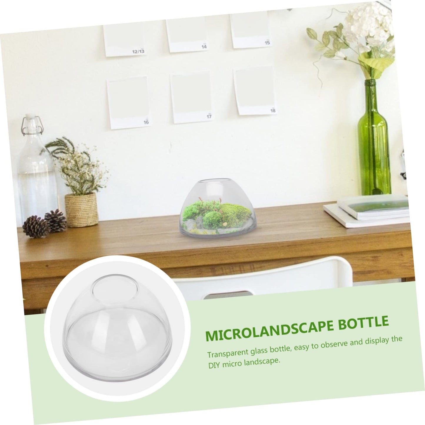 Abaodam Terrarium Jar DIY Micro Landscape Bottle Plant Watering Globes Glass Plant Terrarium for Home Decor