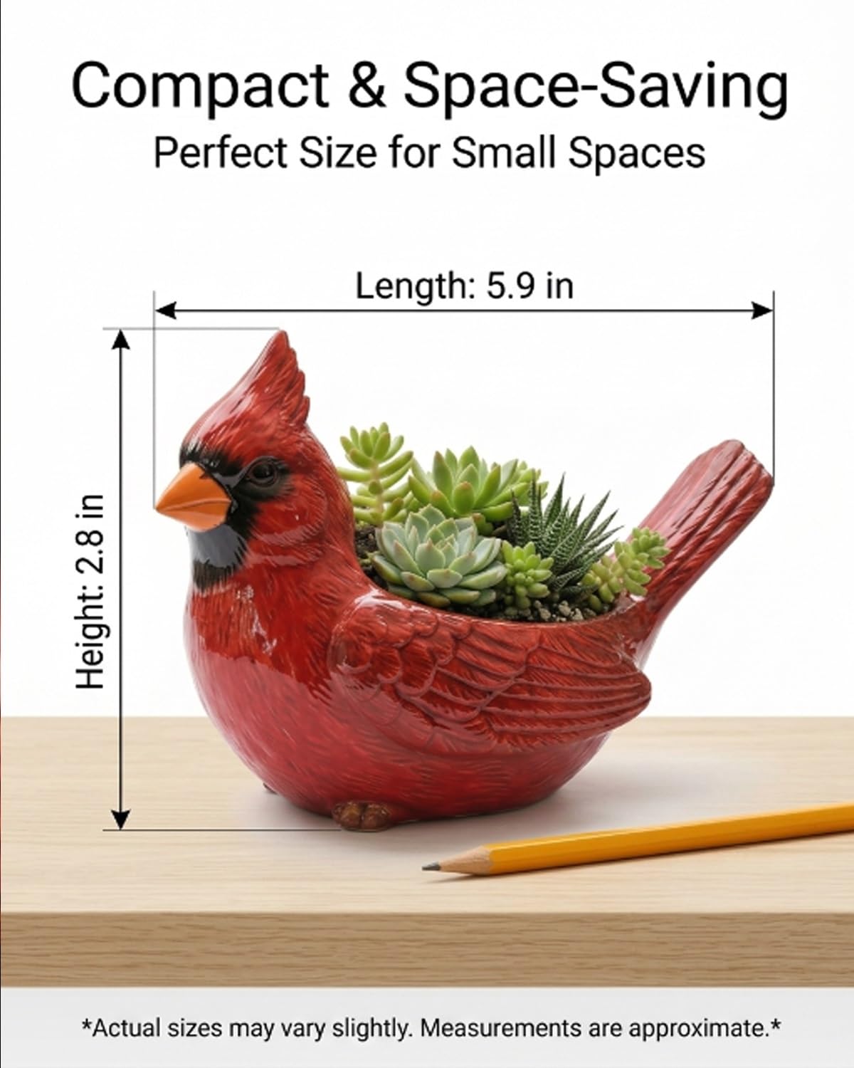 Orxiery Cardinal Bird Succulent Planter, Red Resin Decorative Flower Pot for Indoor Plants, Small Bird Planter for Desk Windowsill Garden Decor, Unique Gift(Hummingbird)
