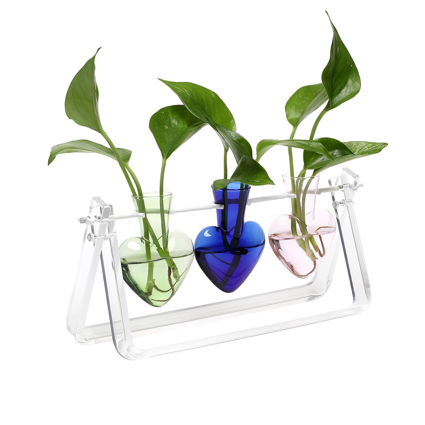 CYZglass Clear Plant Terrarium Propagation Stations with Acrylic Stand Birthday Gifts for Women Office Home Decor