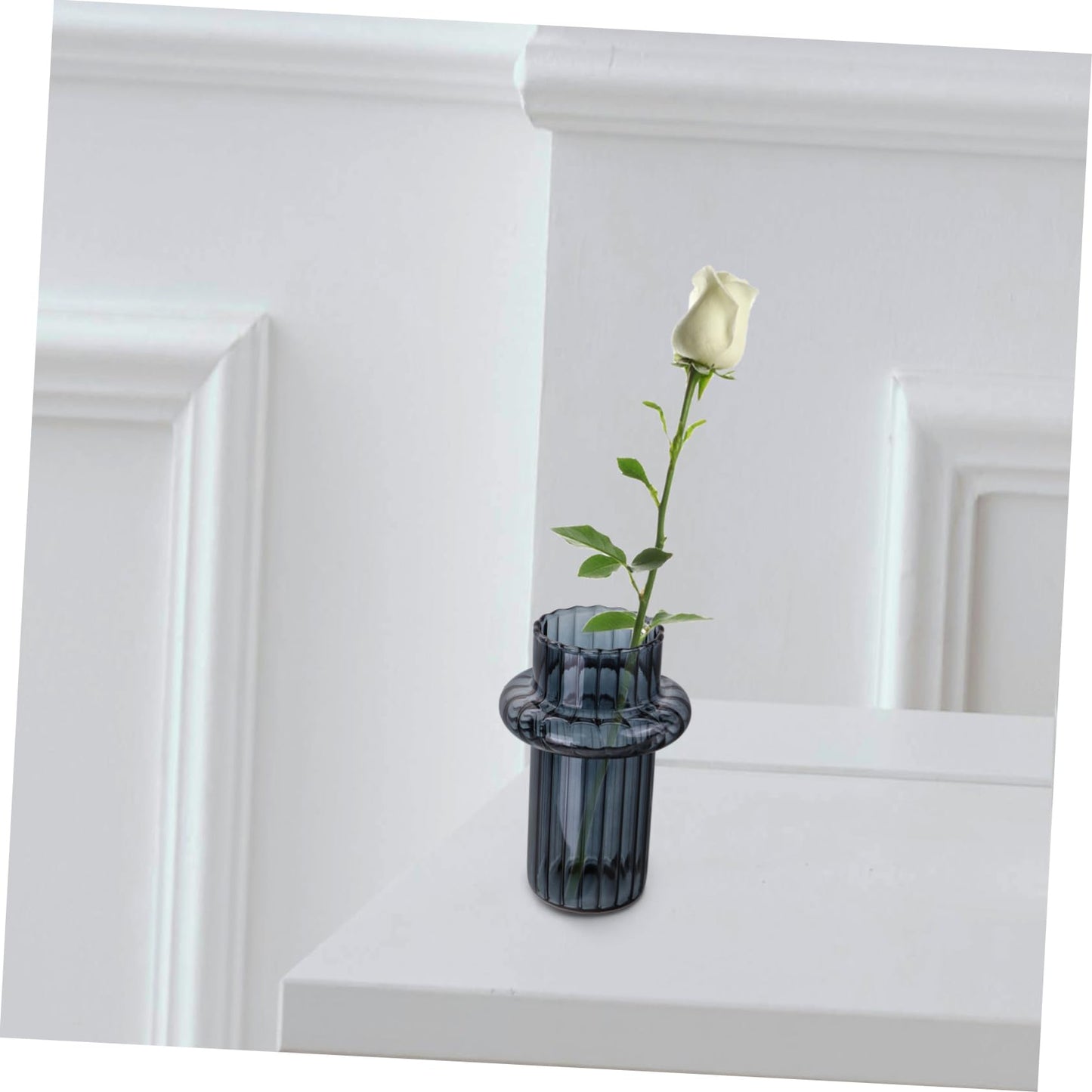 GANAZONO Glass Hydroponic Vase for Desktop Decoration Minimalist Style Terrarium Plant Holder for Decor