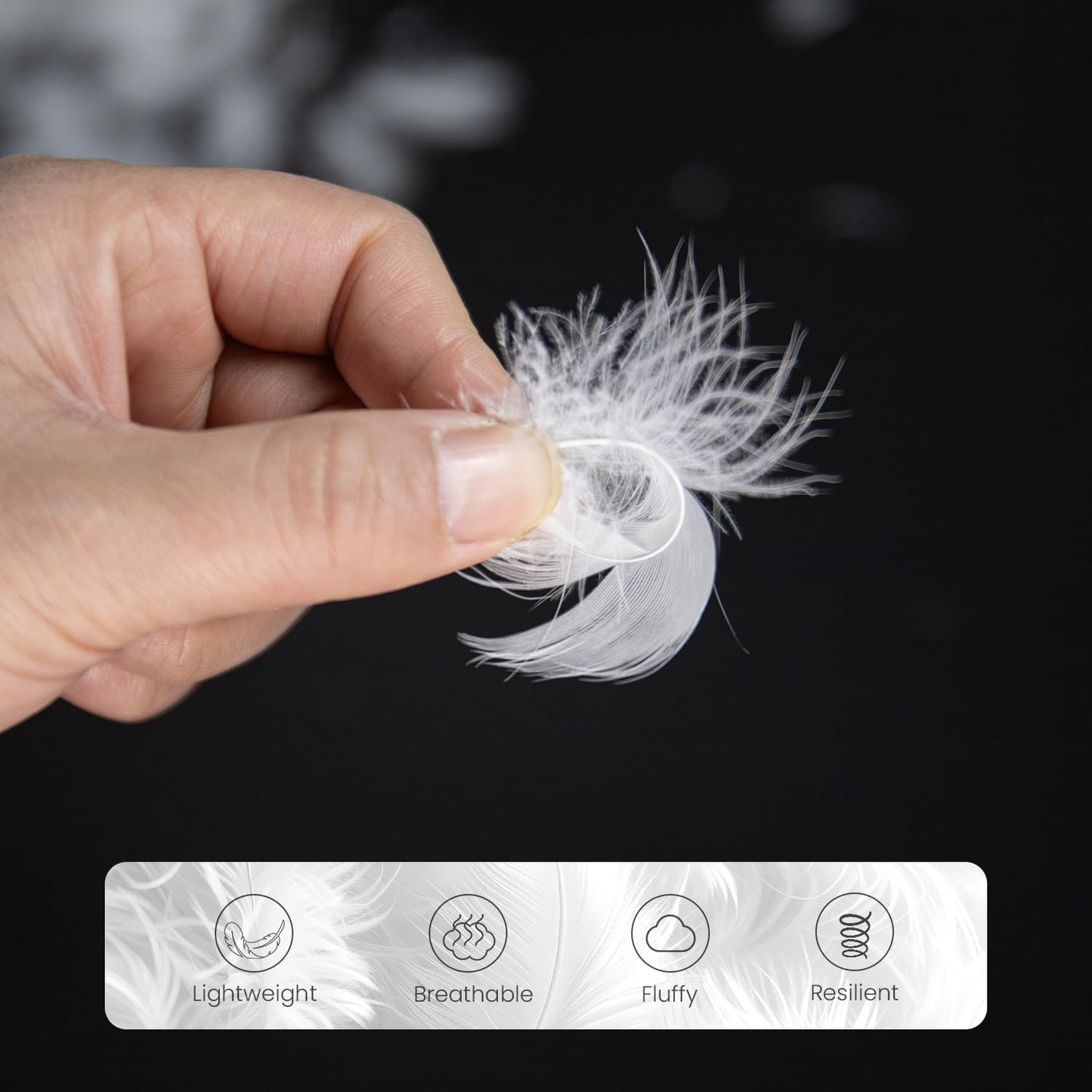 MOOX Down Feathers Pillow Stuffing Filling for DIY Projects Premium Natural 5/95 Goose Feather Down Soft Fluffy Perfect for Pillow Cushions Bedding Pillow Couch Dog Bed Upholstery Crafts (1.0, Pounds)