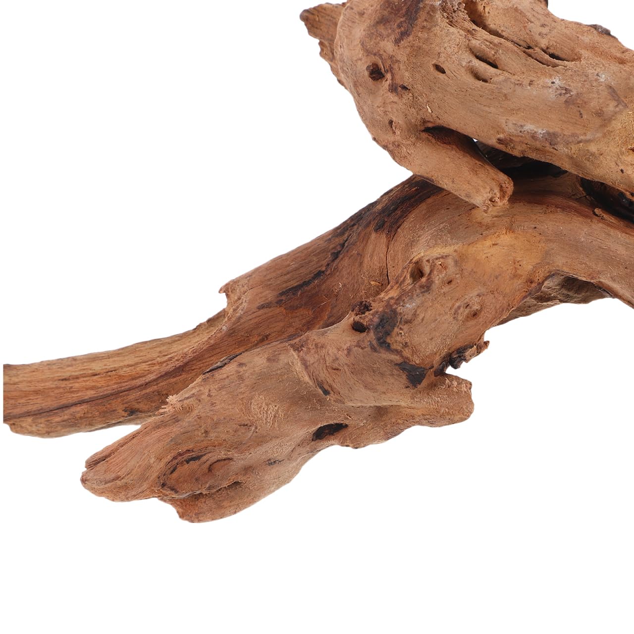 POPETPOP Natural Driftwood for Aquarium Decor - 9.8×5.9" Unique Wood Branch Fish Tank Decorations & Reptile Tank Accessories, Drift Wood Log for Leopard Gecko Terrarium Accessories
