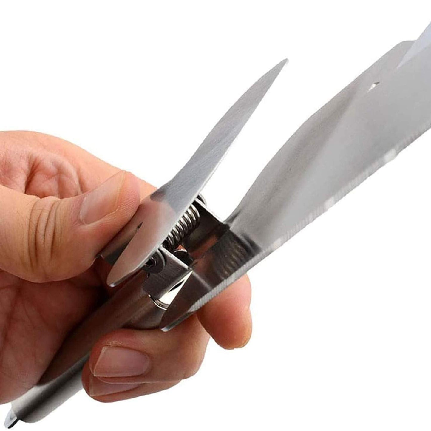 NewlineNY Multipurpose Pizza Cake Cutter Wheeler and Tong 3-in-1 Utensil Knife