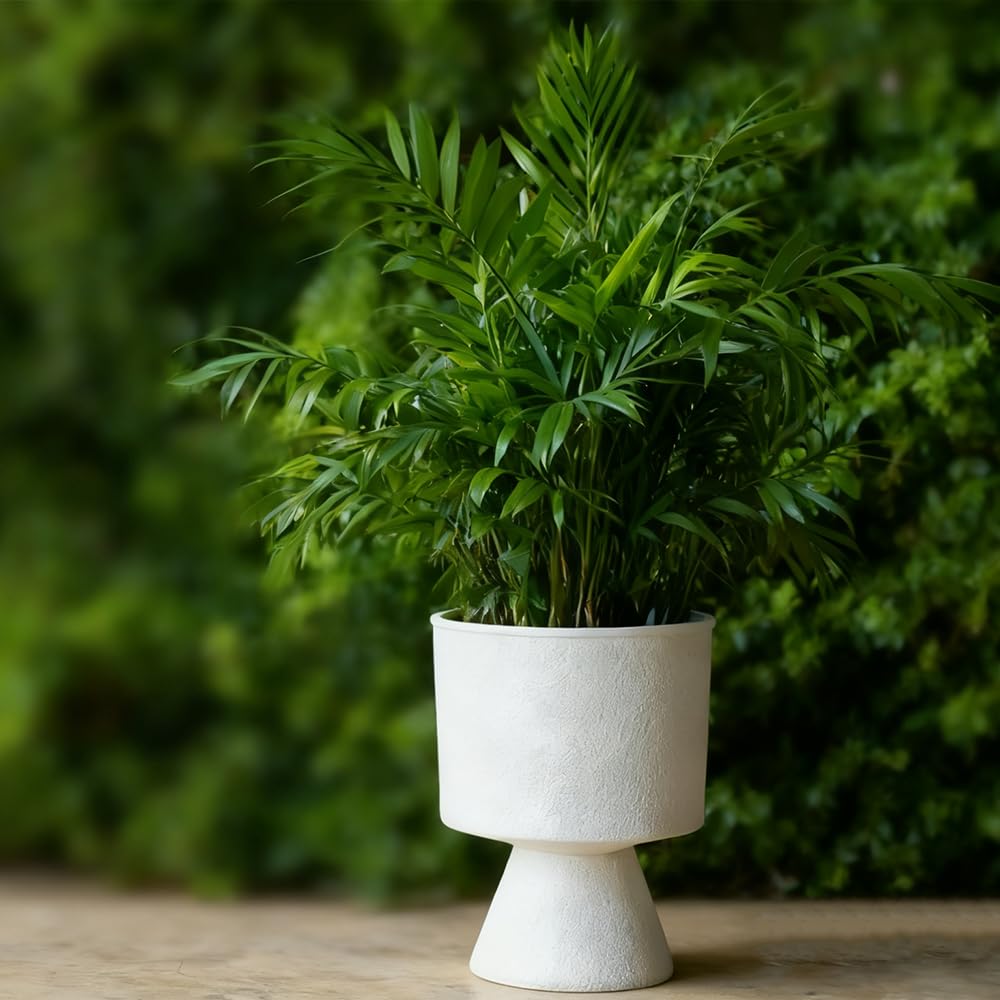 Lookat Modern Hourglass Planter, Indoor Decorative Plastic Plant Container, Textured Metal Look, Contemporary Home Garden Pot (Beige, CUP003 Small+Medium)