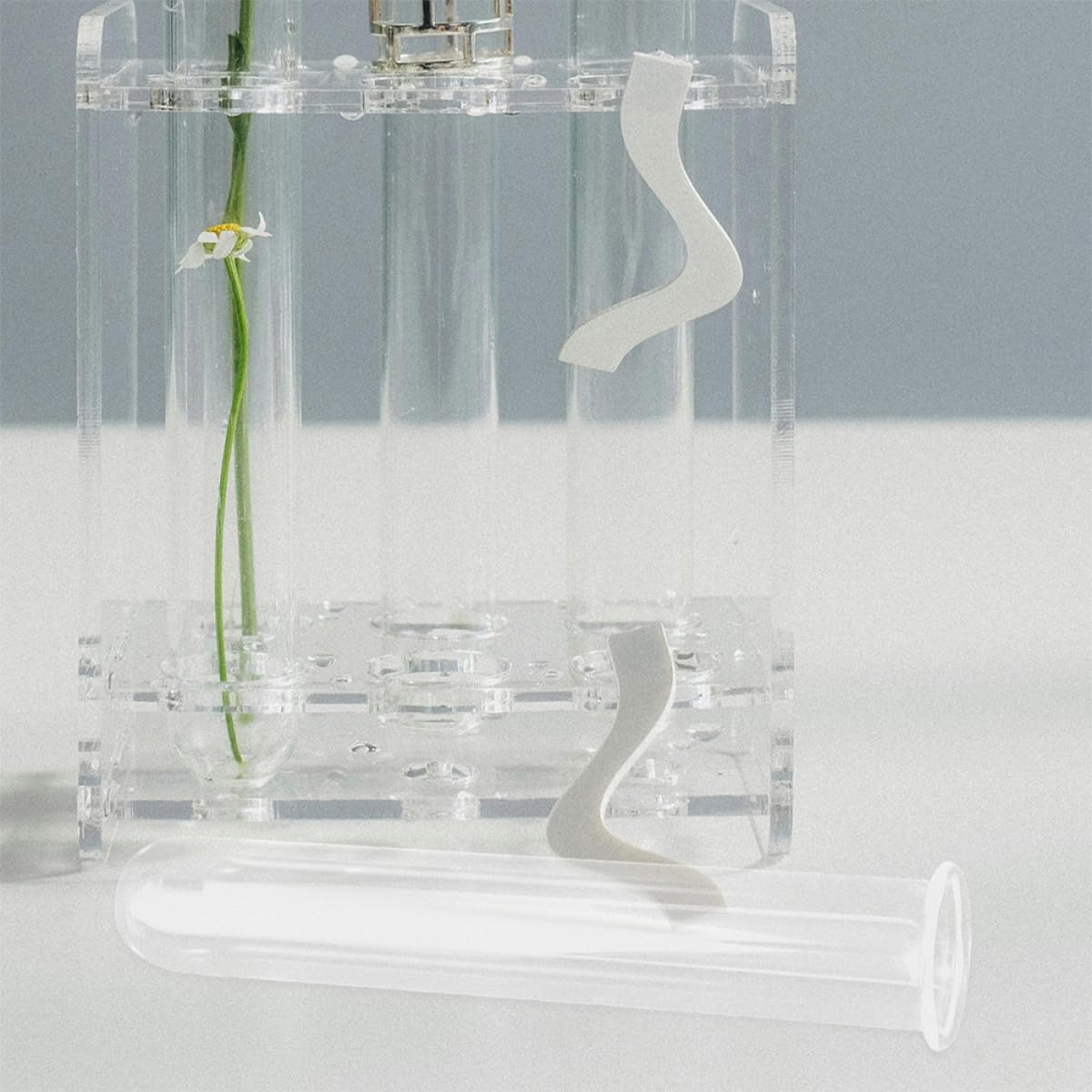 Cabilock 4pcs Glass Propagation Test Tube Vase Set 2.5x3x18cm Hydroponic Plant Holder for Small Terrarium and Flower Display Home Decor