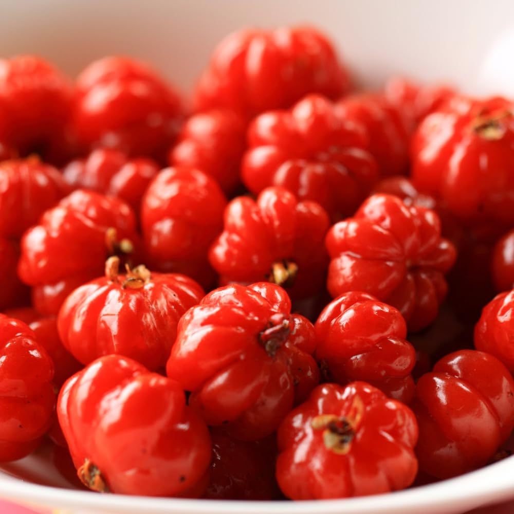 Cherry Tree Live Plant, Sweet Cherries Fruit Tree 4-8'' Tall, Tropical Fruit Trees for Planting Outdoor (Surinam Cherry Tree)
