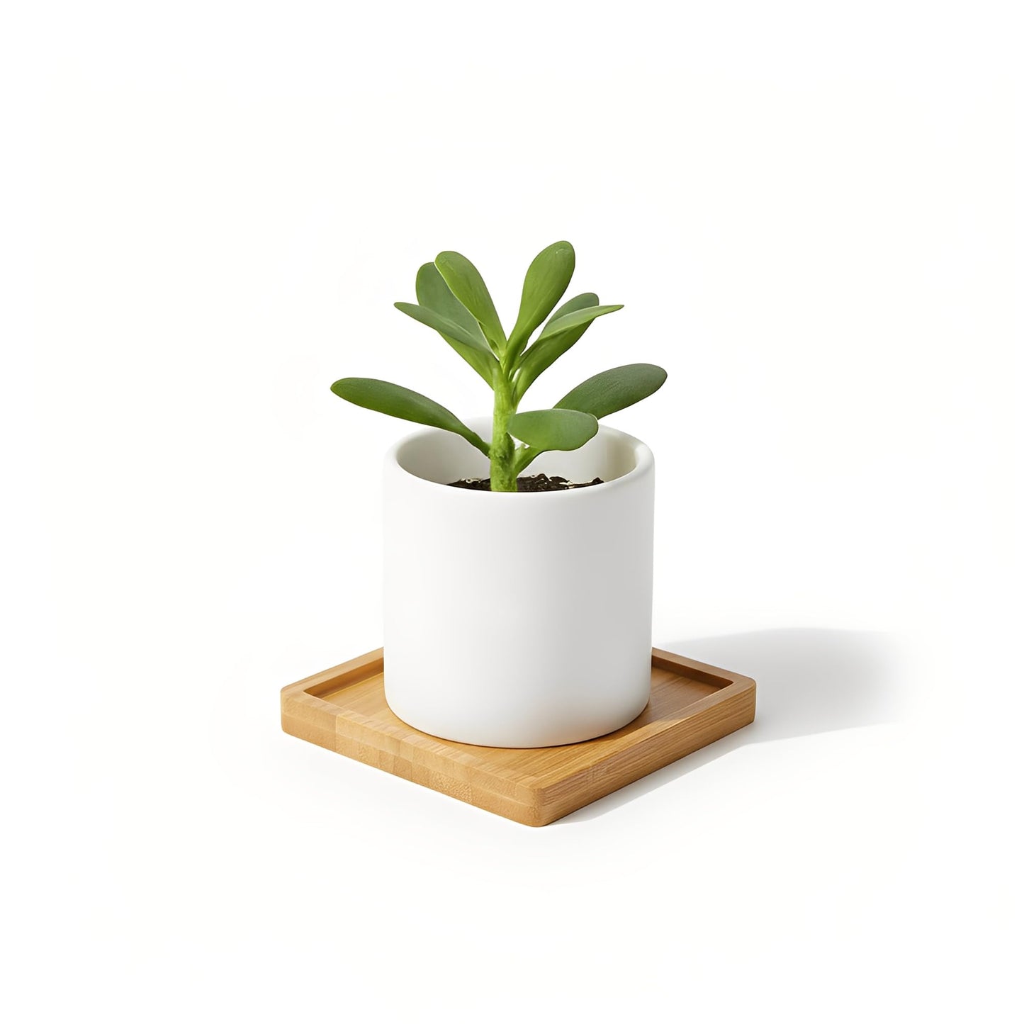 Bamboo Coasters Blank Mats for Crafts — 3.54 Inch DIY Mosaic Tile Base, Small Indoor Plant Coasters, Reusable Eco-Friendly Design (10 Pcs Square)