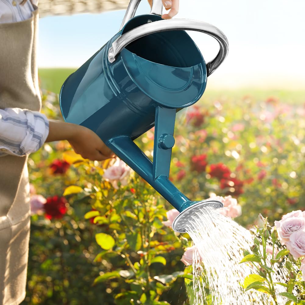 1 Gallon Metal Watering Can with Removable Spout, Nice Galvanized Steel Water Can for Indoor and Outdoor Plants (Ocean Blue)