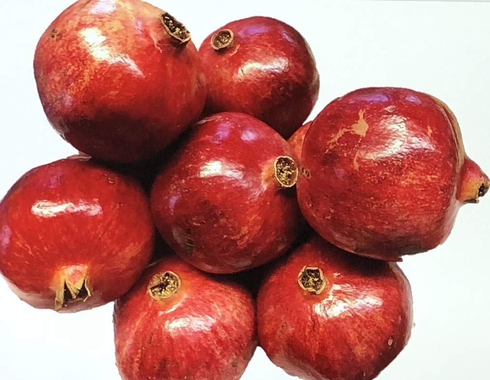 Pomegranate Plant/Tree 'Big Red' (Punica Granatum) Wonderful Live Trees. CA NO Shipping
