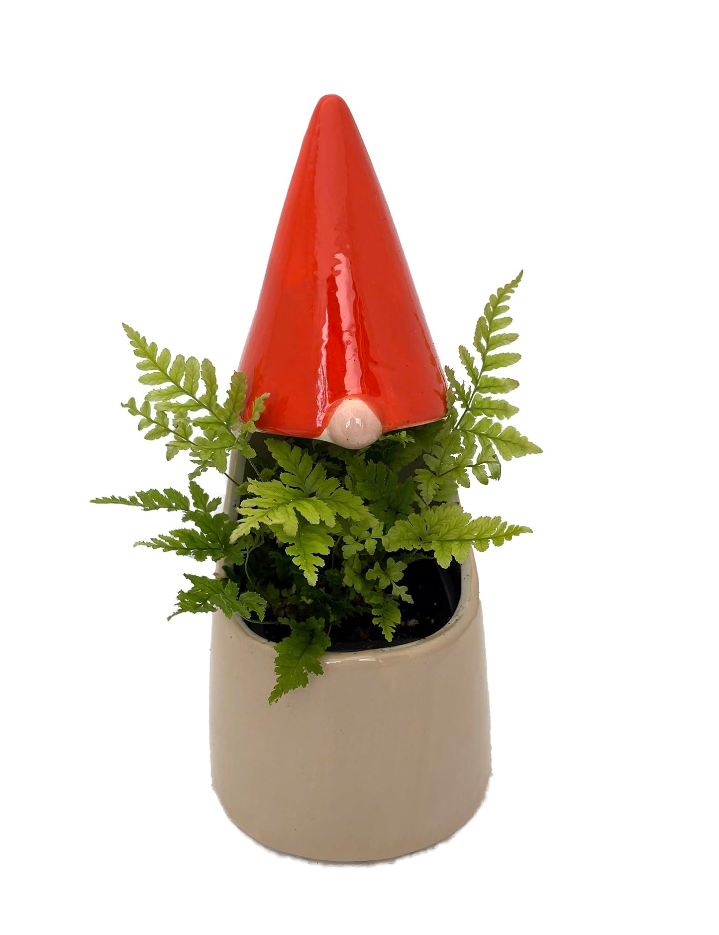 Funky Gnome Ceramic Planter with Live Trailing Houseplant - 9" x 3.5"