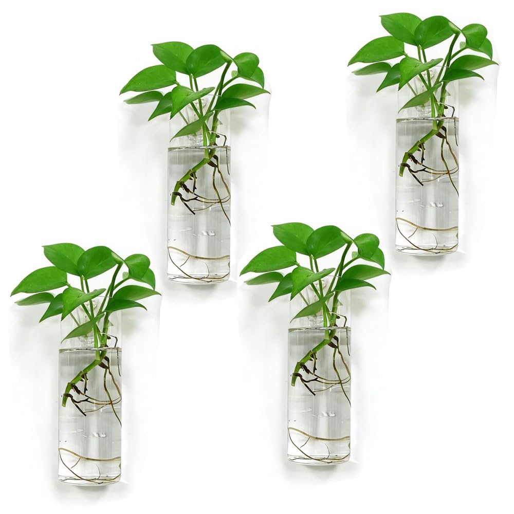 Bunhut Wall Planters for Indoor Plants, 4 Pack Glass Wall Planters for Propagation, Hanging Terrarium Planters with Hooks for Hydroponic Plants, Flowers, Home Office Bathroom Decor