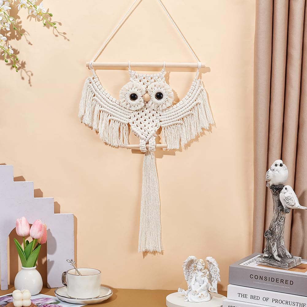 ACRNIGHEET DIY Owl Macrame Kit with Instruction - Handmade White Owl Hanging Ornament Boho Hand Woven Macrame Making Kit for Home Decor