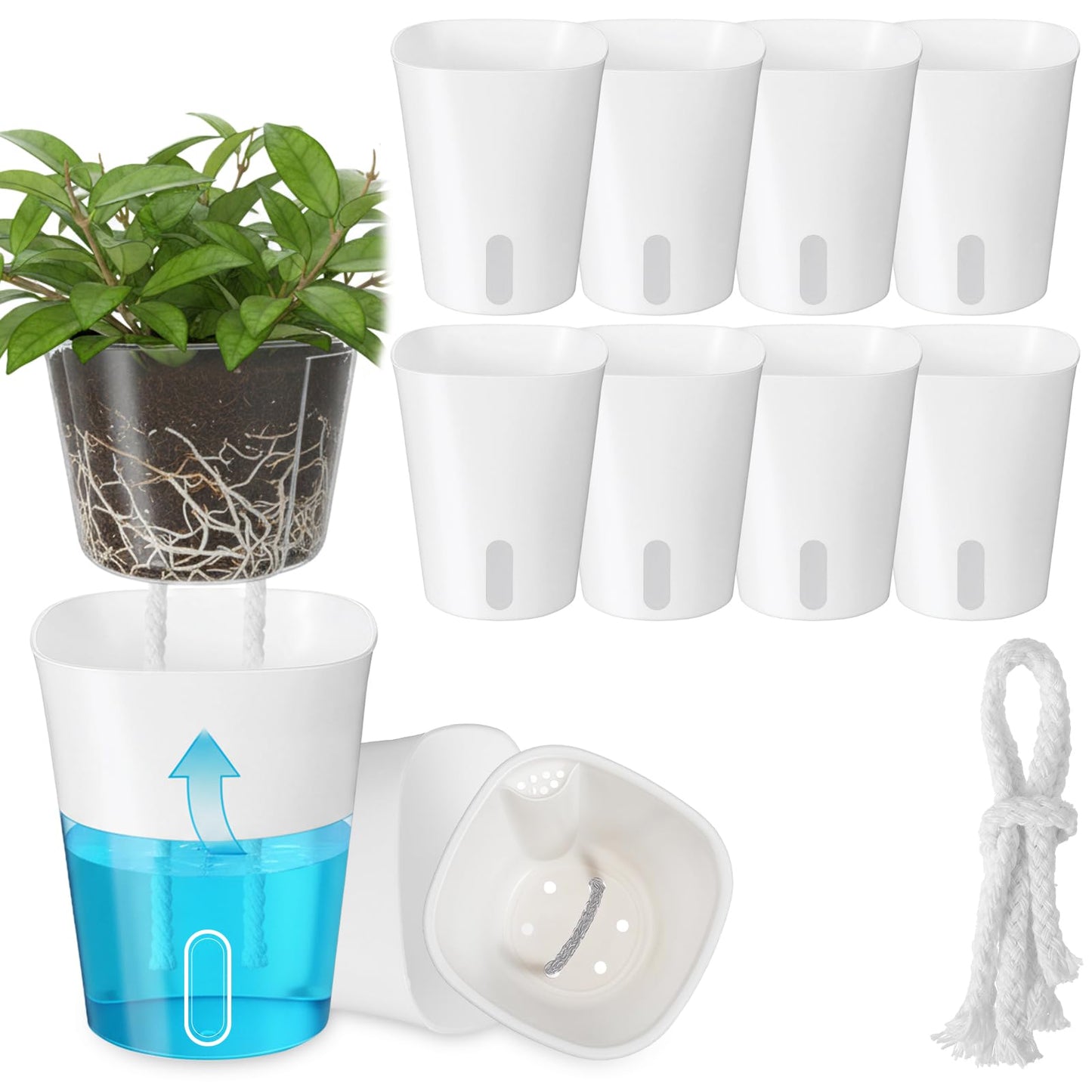 Douaowoc 8 Pack 4" Self Watering Pots for Indoor Plants, Clear Inner Cup, Small White Plastic Planters, Water Level Indicator, Drainage Holes, Extra Wick, Cuttings, Seedlings, African Violets