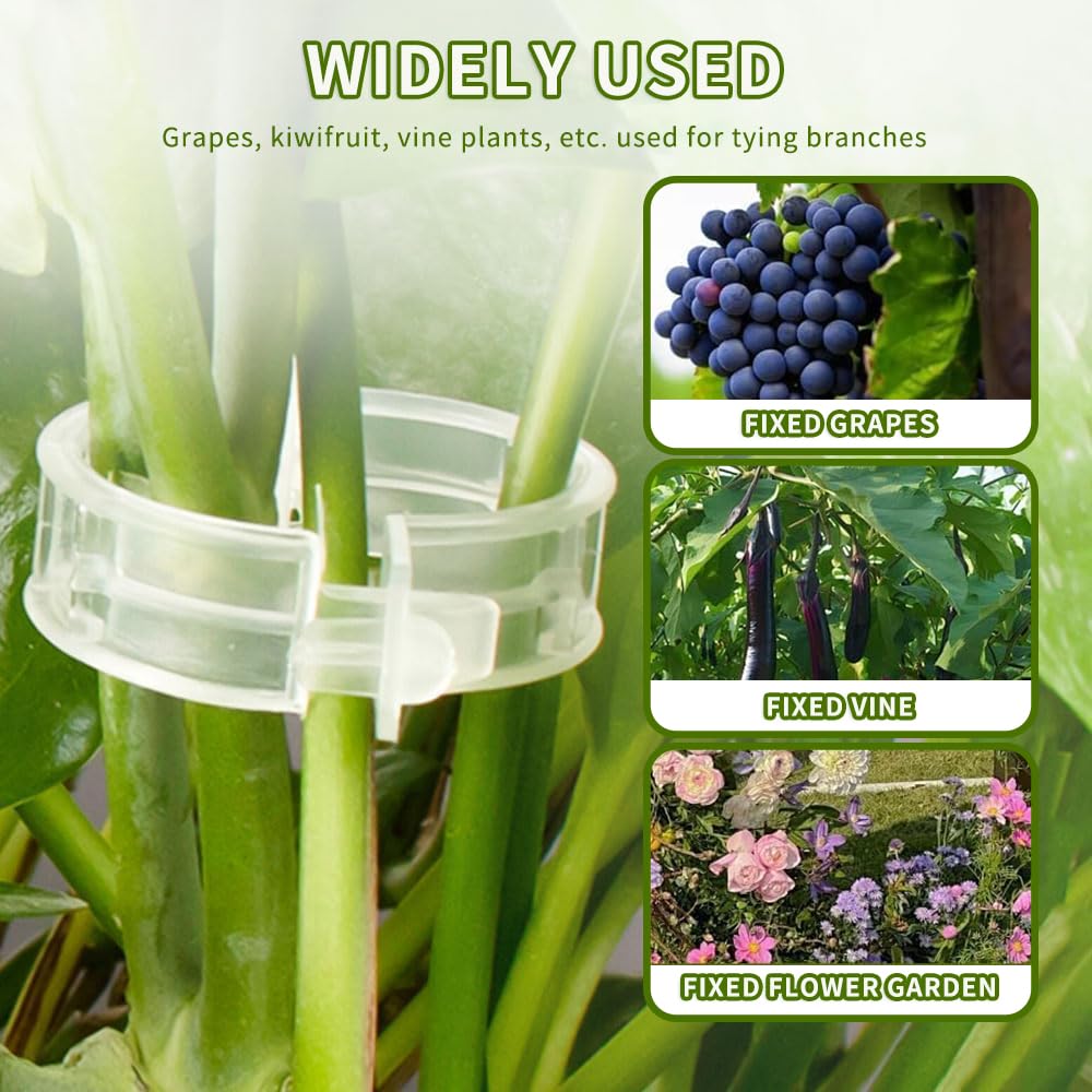 oddmmo 200 Pack Secured Plastic Plant Clips, 2024 Combinable Plant Support Clips, Plastic Trellis Clips for Climbing Plants, Vine Vegetables Fixing Clips, Plant Clips for Tomato Trellis & Peony Cages
