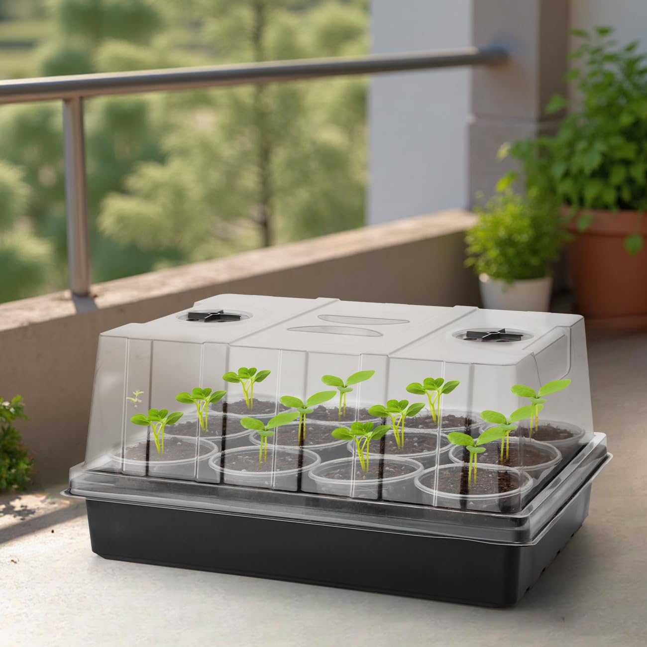 RooTrimmer 4-Pack Seed Starter Trays with 5'' Tall Humidity Domes – Reusable Plant Germination Kit for Microgreens, Herbs & Indoor Gardening | Clear Vented Lids, Fast Seedling Growth & Durable Design