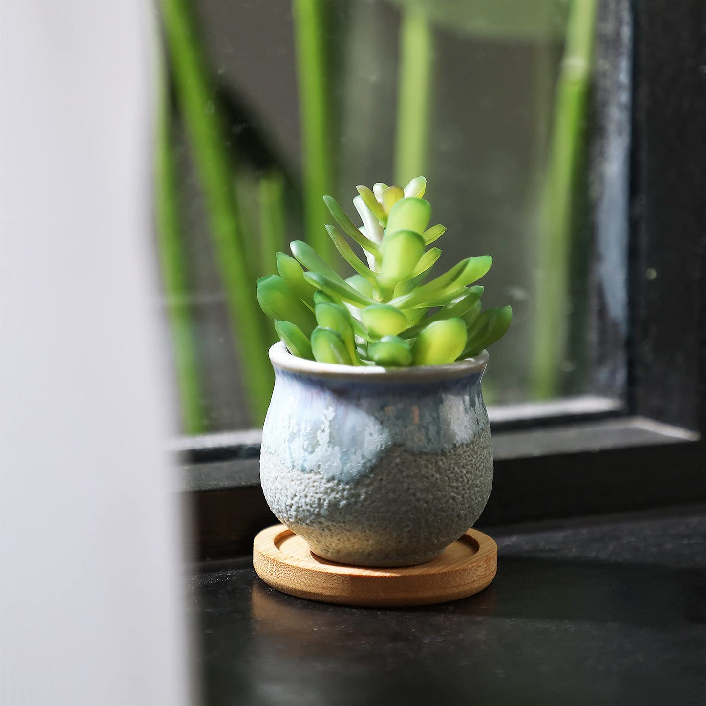 Remerry 18 Pcs Small Succulent Pots Bulk with Drainage 2.5 Inch Assorted Mini Ceramic Succulent Planters Pot with Coaster Bamboo Plant Tray Planting Pots for Home Office Garden