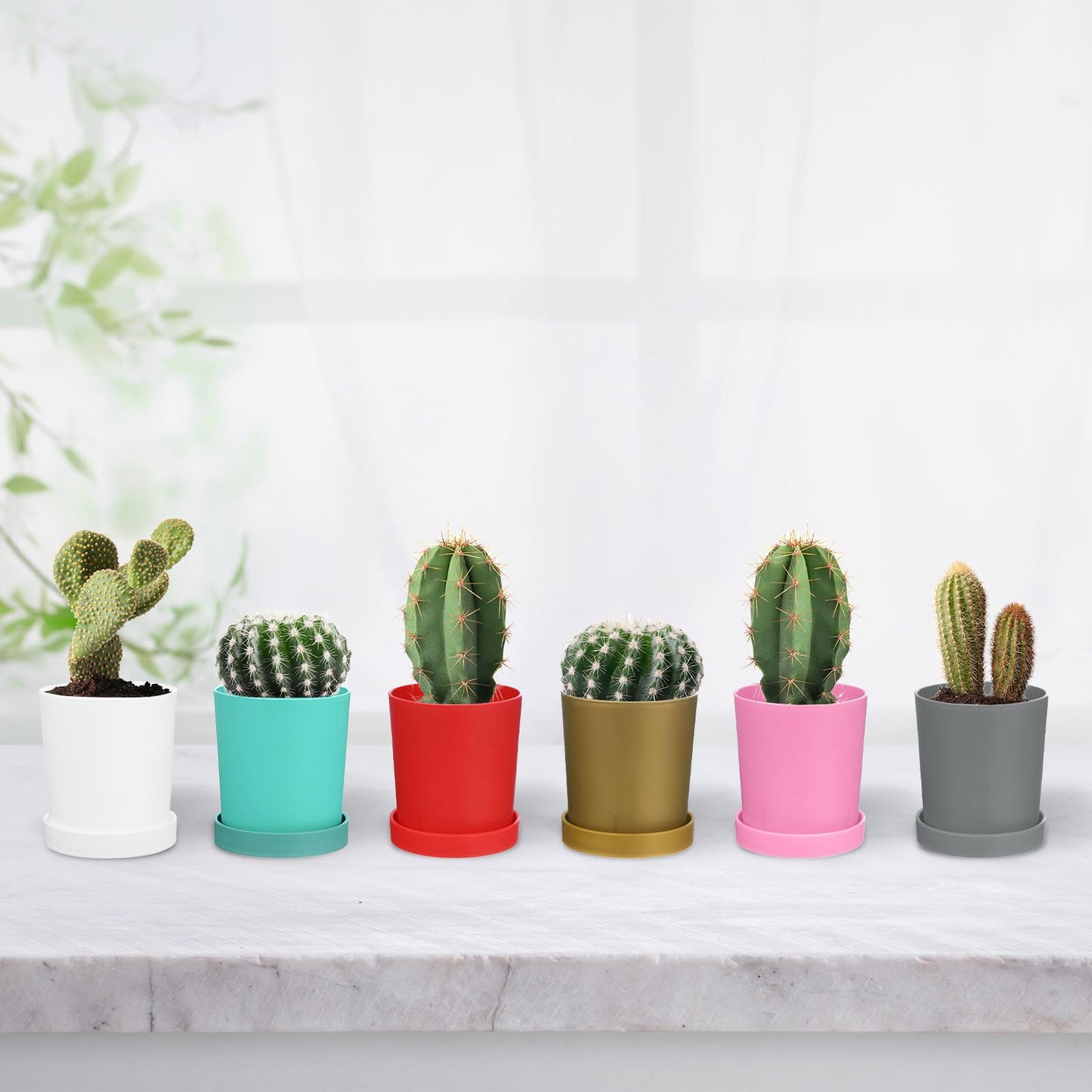 M METERXITY 4-Pack Plant Pots, 3.5 Inch Plastic Flower Pots with Drainage Holes for Cactus/Succulents Pot/Small Plants/Home/Garden, Planters for Indoor Plants [Red]