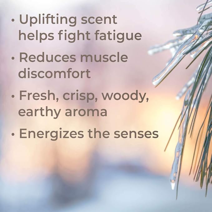 Plant Therapy Black Spruce Essential Oil 30 mL (1 oz) 100% Pure, Undiluted, Therapeutic Grade