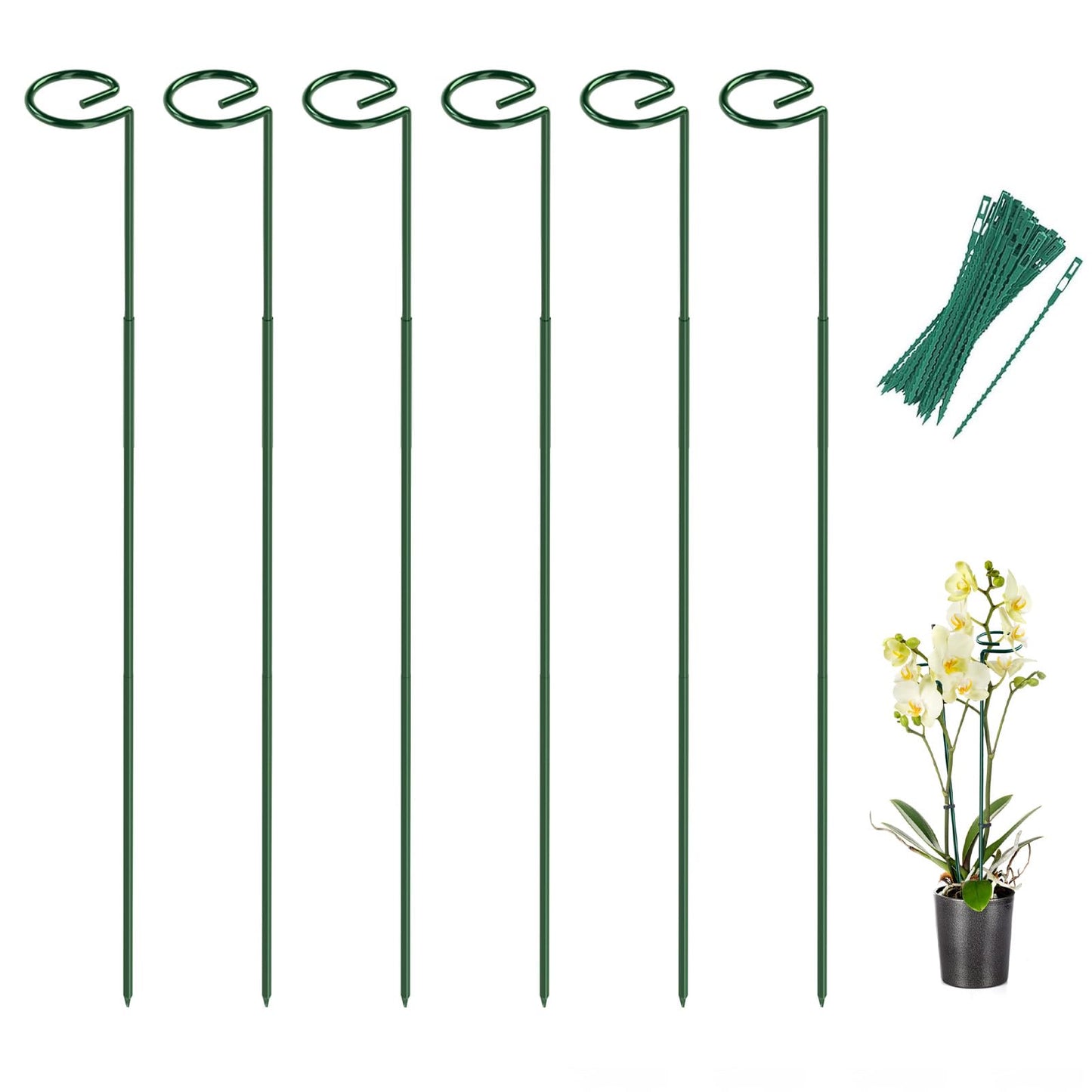 Breeze Touch 6 Pack Plant Stakes, 23.6 Inch Plant Support Stakes with 15 Twist Ties, Plant Sticks Support, Flower Stakes for Plants Peony, Tomato Seedling, Marigold, Amaryllis, Sapling, Coreopsis