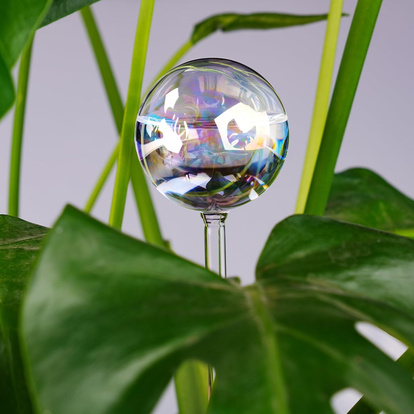 [6 PCS] Light Iridescent Rainbow Gradient Color Clear Glass Self-Watering System Spikes, Automatic Plant Waterer Bulbs