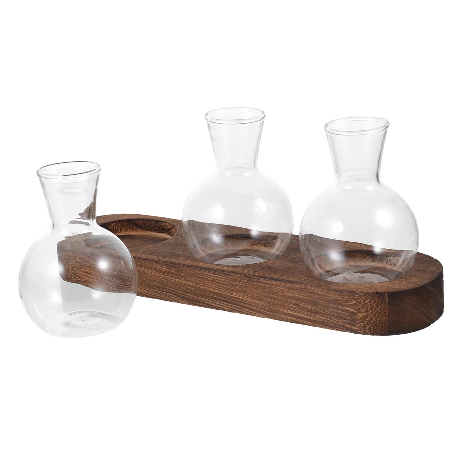 IWOWHERO Elegant Green Pothos Plant Container Glass Vase with Simple Design for Home Office Decor