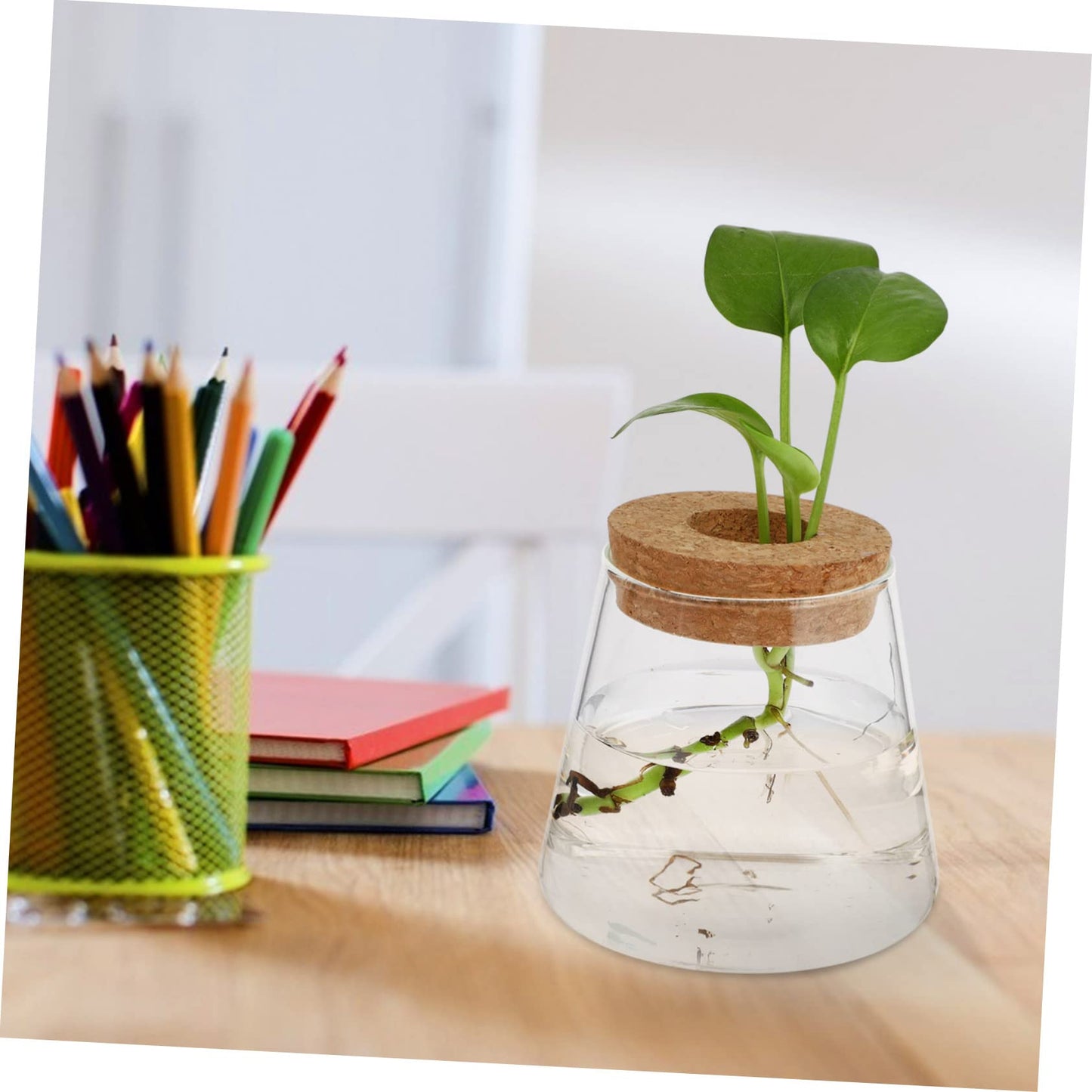 VALICLUD 2Pcs Glass Desktop Vases Hydroponics Plant Containers Terrarium for Office Home Decor Glass and Wood Material Space Saving Propagation Jars