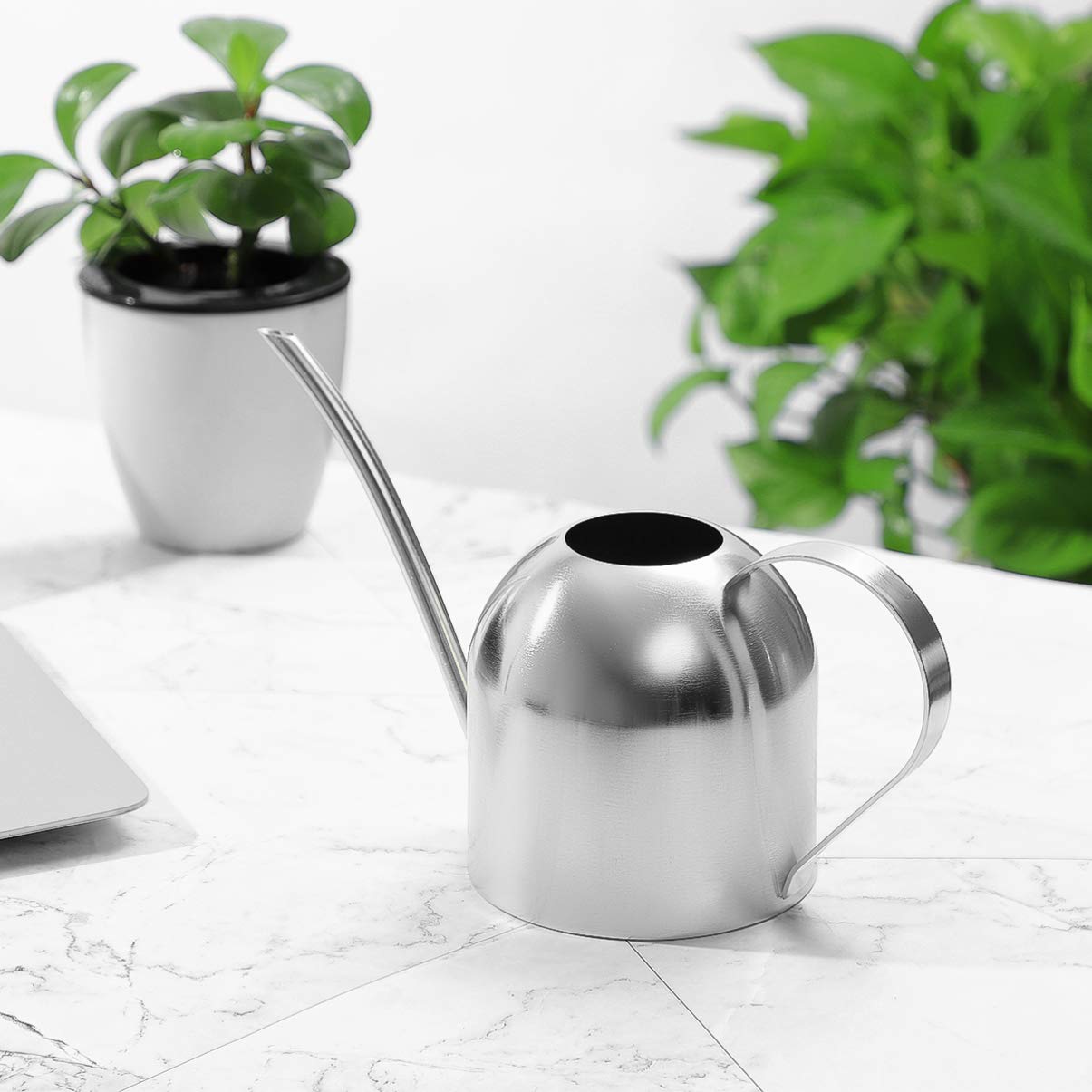 YARNOW 1000ml Stainless Steel Watering can with Long Spout for Indoor Plants, Succulents, and Garden Use (Silver)
