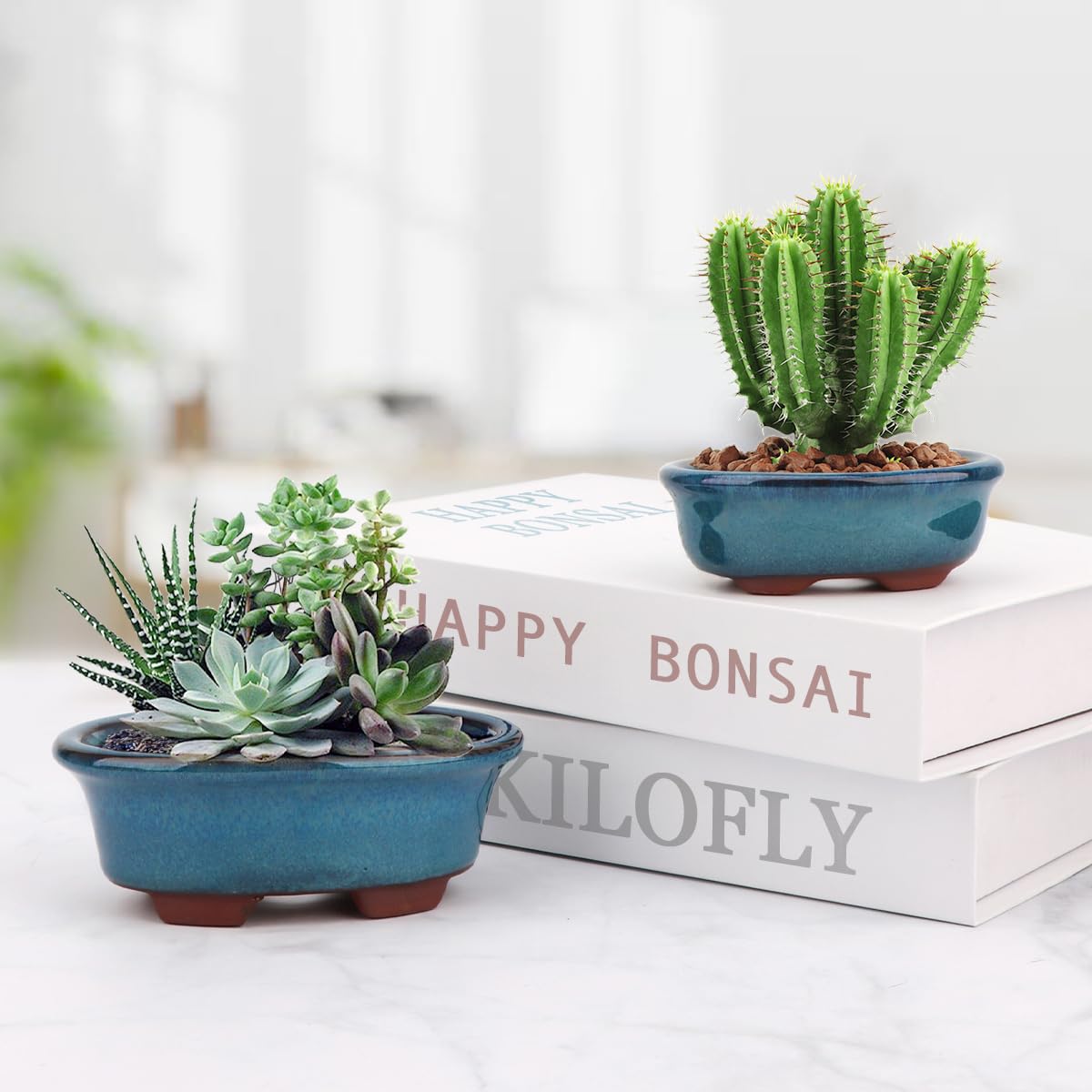 Bonsai Planter Succulent Small Glazed Pots, Value Pack of 2 + 4 Soft Mesh Drainage Screens