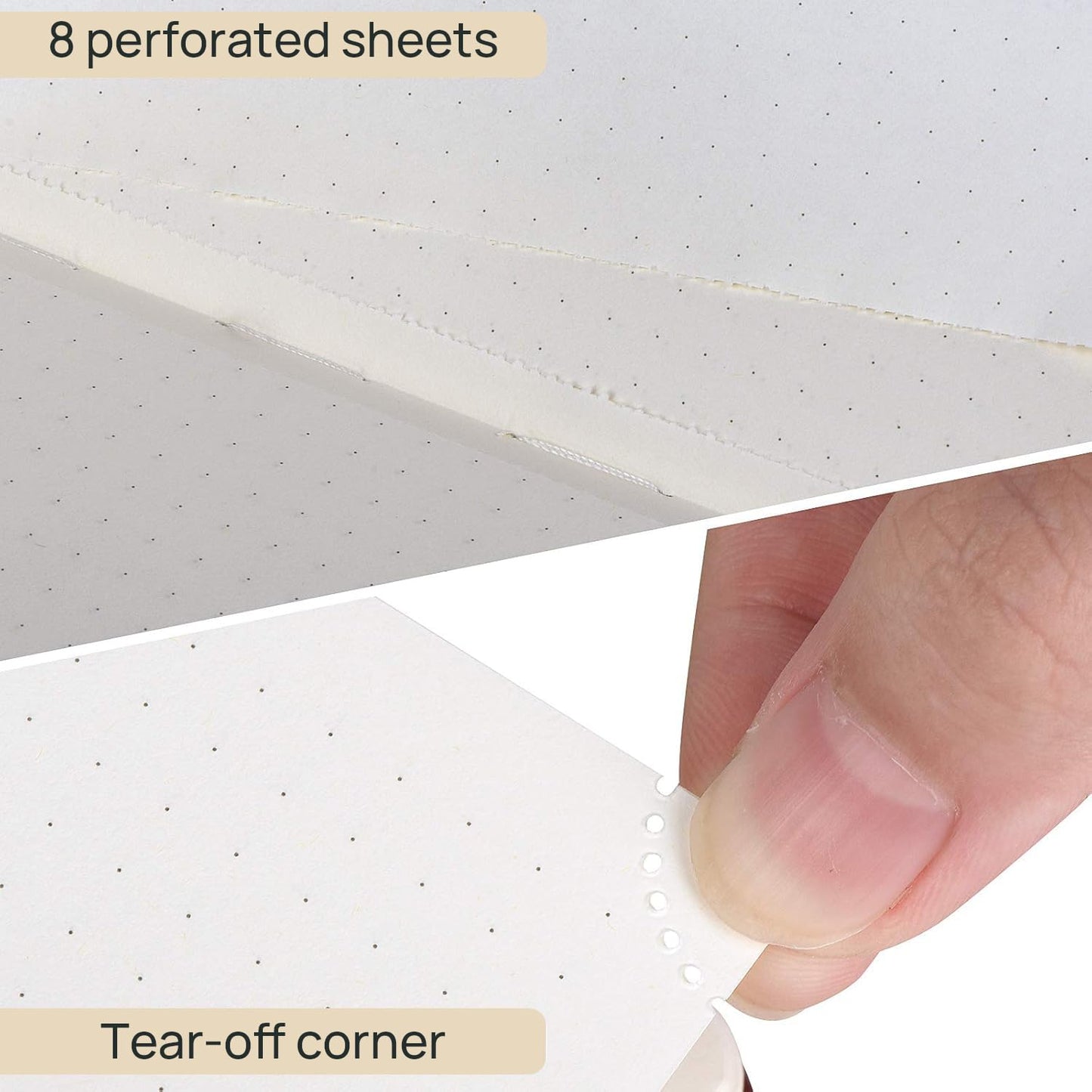 POPRUN Spiral Bullet Dotted Journal Notebook, 7-1/4" x 9-1/2" - 120 GSM Thick Paper, 220 Numbered Pages, Hardcover for Men & Women with Pocket, Index Tabs, 8 Perforated Sheets, Pacific Green