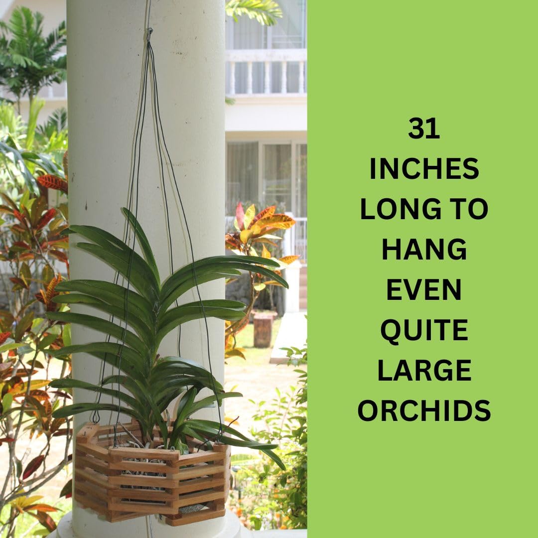DESQUIGGLE Set of 12 Hanging Wires for Orchid Baskets and Hanging Planters, 31 Inches Long with Strong Steel Hooks and Covered in Light Green Plastic
