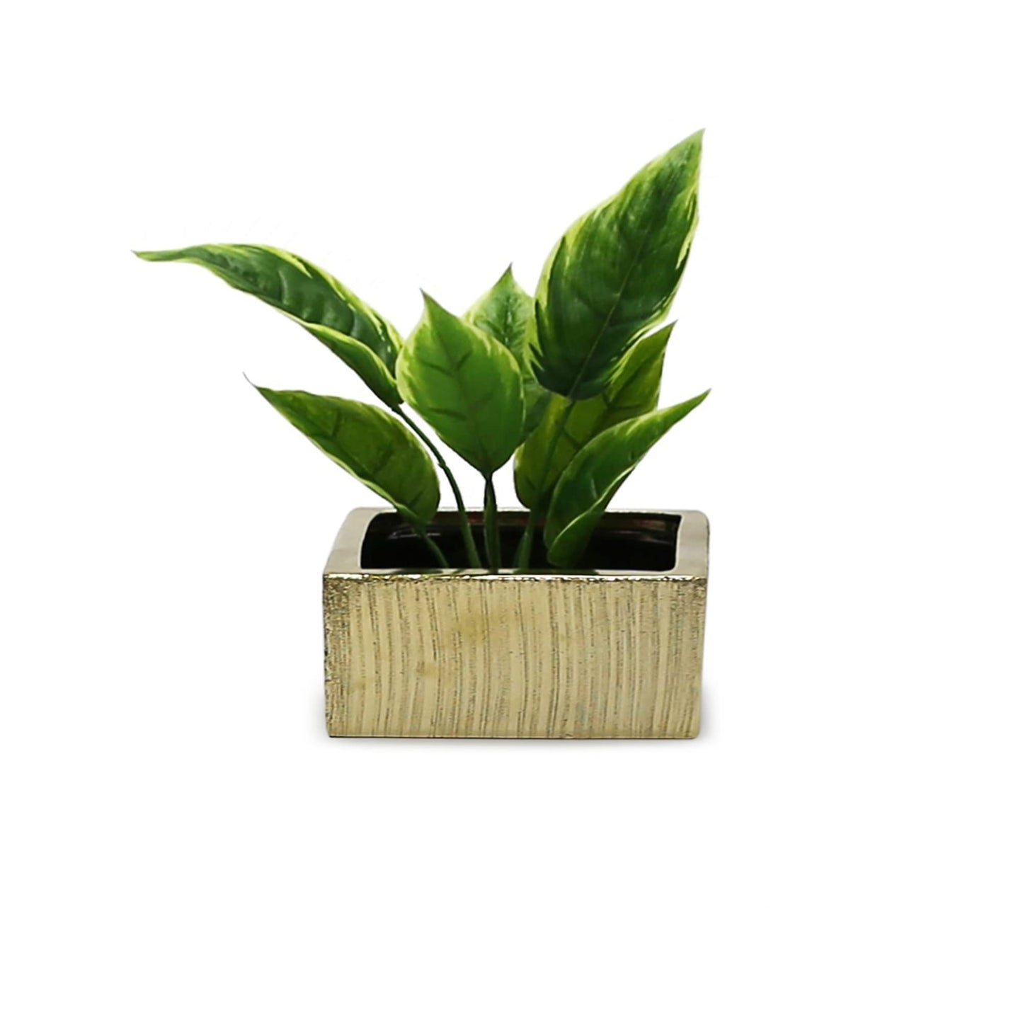 WGV Gold Scratched Square Ceramic Vase, Width 8", Height 4", Elegant Morden Short Square Pan Floral Planter Terrarium Pot Container Tabletop for Event Accent Home Decor 1 Piece