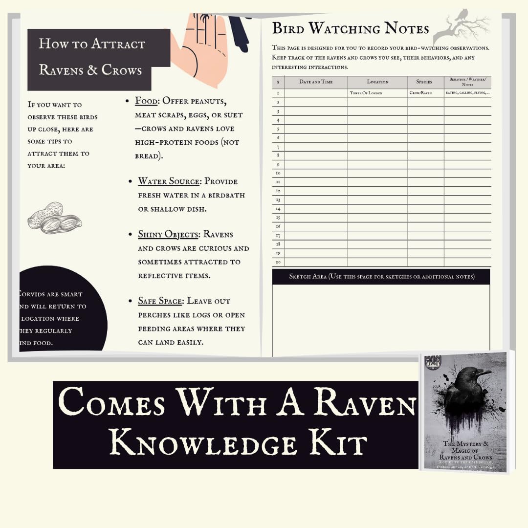 Raven and Crow Table Lamp - Valentines Goth Themed Gifts Lamp – Gothic Desk Lamp with LED Bulb – Nevermore Inspired Edgar Allan Poe Gift for Library or Bedroom - Dark Academia, Witchy, Viking Decor