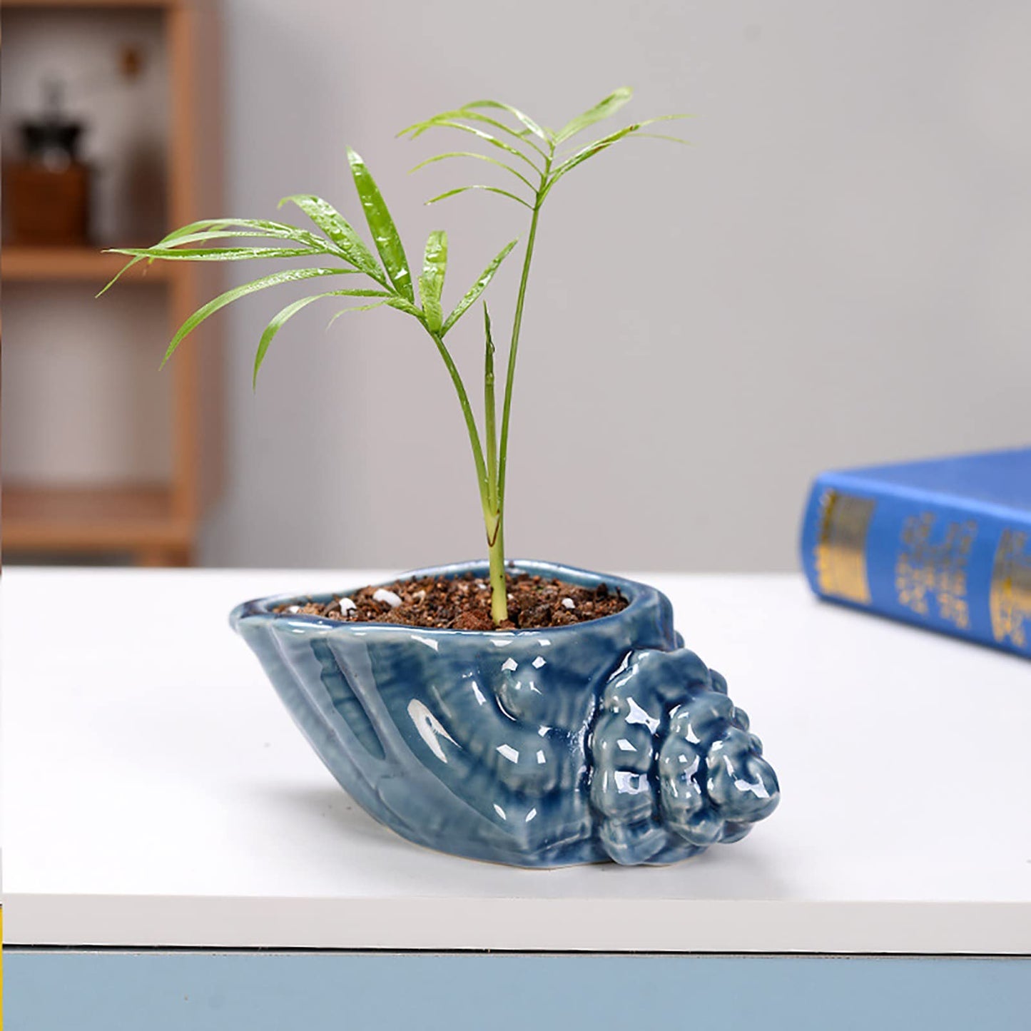 Foraineam Succulent Plant Pots, 5.5-6.5 Inch Ceramic Flower Planter Pots, Blue Conch Ocean Seashell Series, Set of 4 Succulent Cactus Plant Container with Drainage Hole