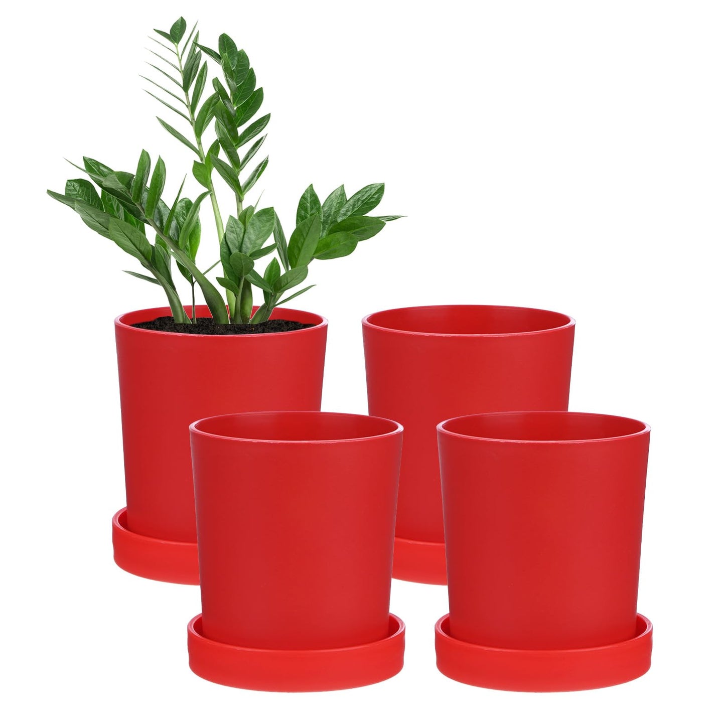 M METERXITY 4-Pack Plant Pots, 3.5 Inch Plastic Flower Pots with Drainage Holes for Cactus/Succulents Pot/Small Plants/Home/Garden, Planters for Indoor Plants [Red]