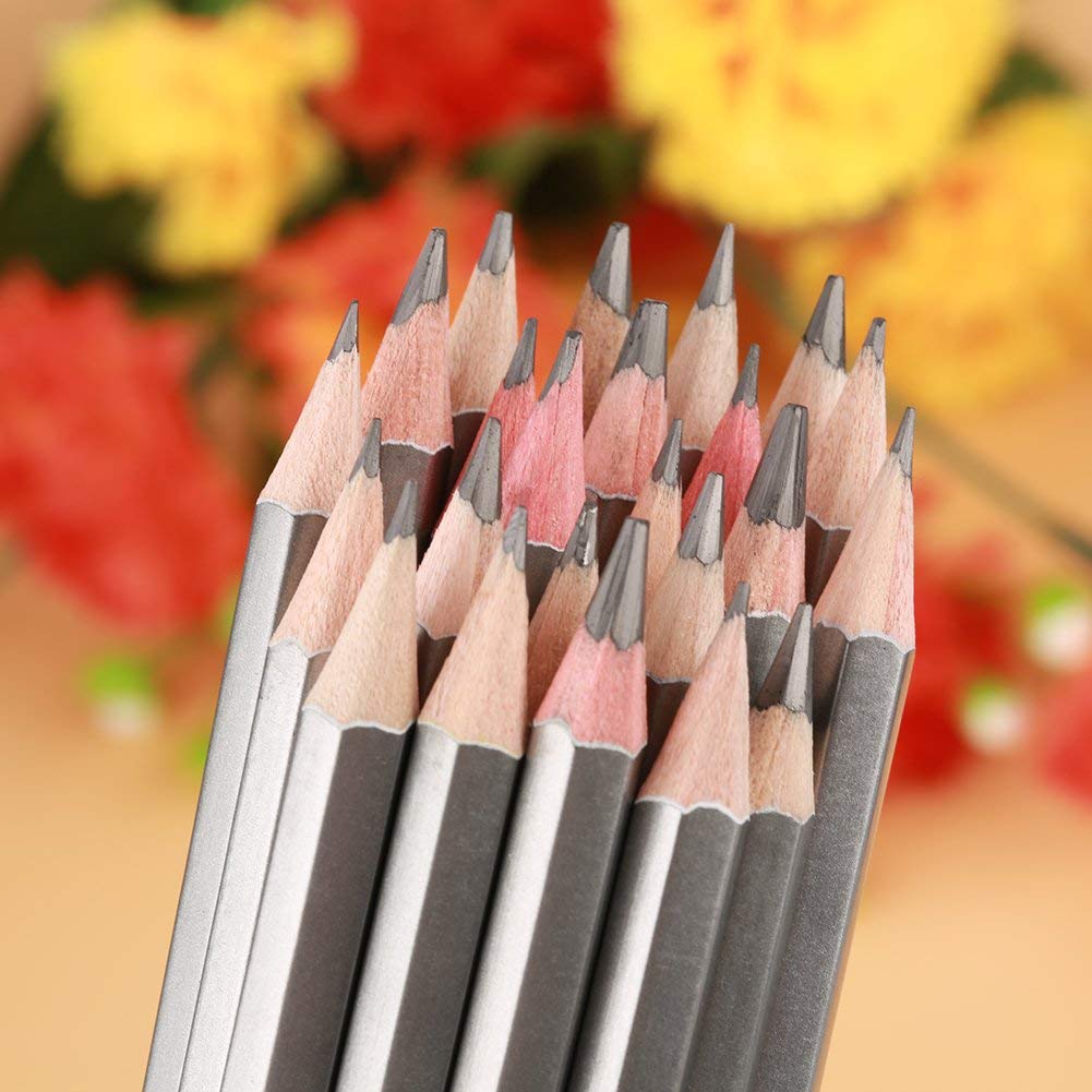 HEEPDD 24Pcs Drawing Sketching Pencil Set, Sketch Art Graphite Shading Pencils 9H 8H 7H 6H 5H 4H 3H 2H H HB F B 2B 3B 4B 5B 6B 7B 8B 9B 10B 11B 12B 14B for Beginners ProArtists