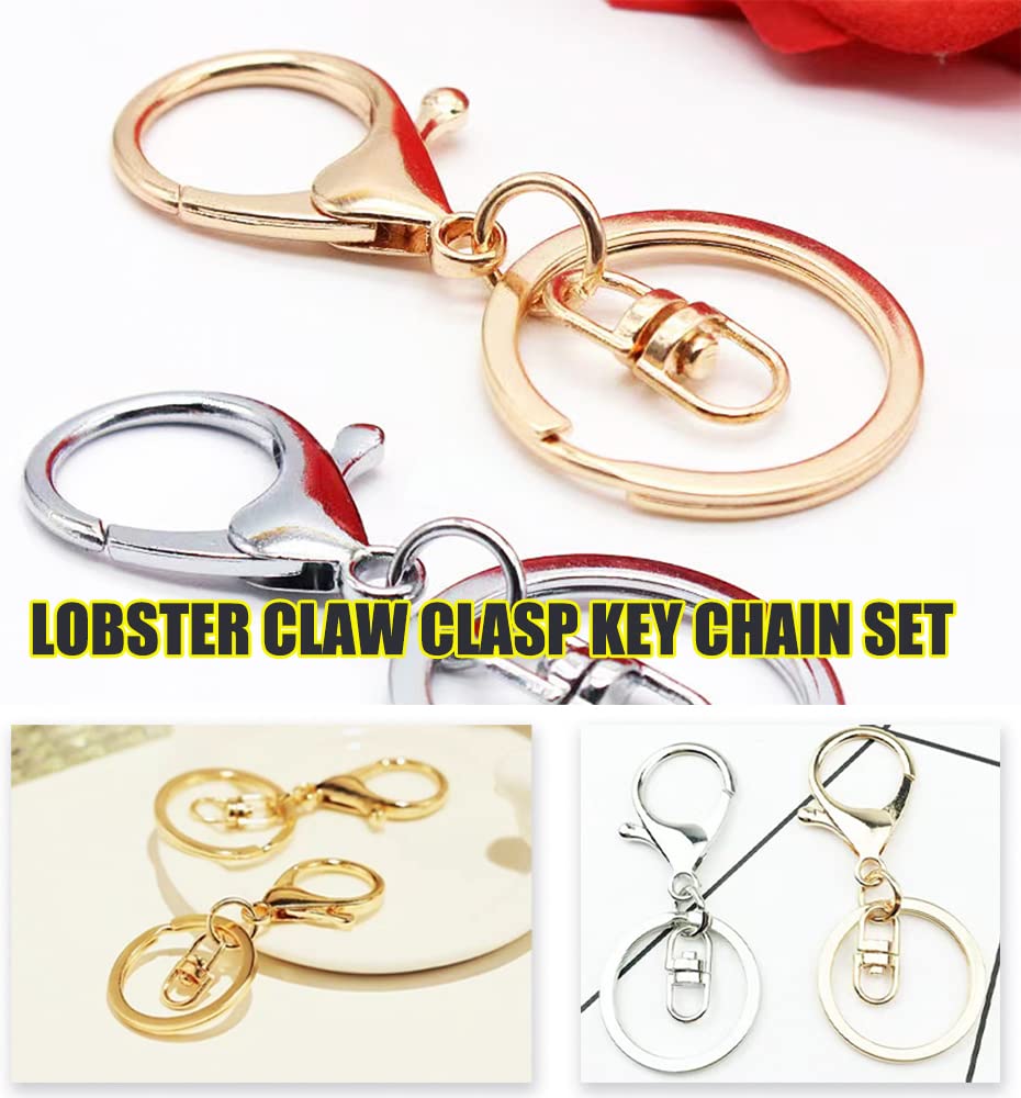 Lobster Claw Clasp Key Chain Rings Kit-20 PCS Clasps Lanyard Snap Hooks with Split Key Rings, Gold/Silver Keychain Clip Hooks Keychain Ring Carabiner Buckles for Leather Crafts DIY Project- 2 Color