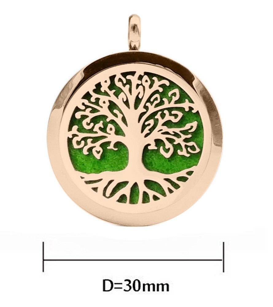 Aromatherapy Essential Oil Diffuser Necklace 316L Stainless Steel Locket Pendant with 24 Inch Chain(Rose)
