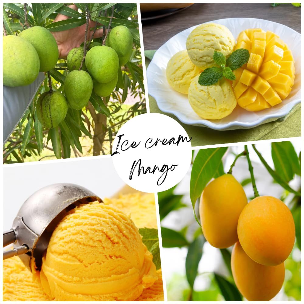 Ice Cream Mango Plant, Mango Trees Live Plants, Tropical Fruit Tree for Outdoor Planting 2-3 Feet Tall in 3 Gallon
