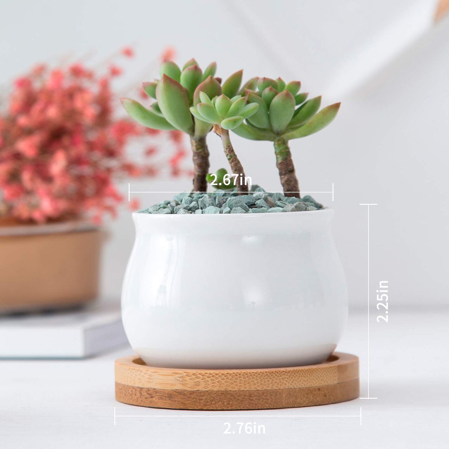 Brajttt Succluent Pots ，Small Flower Pots Planter Pots with Drinage,Ceramic Flowers Pots with Bamboo Tray for Cactus(12 Pack