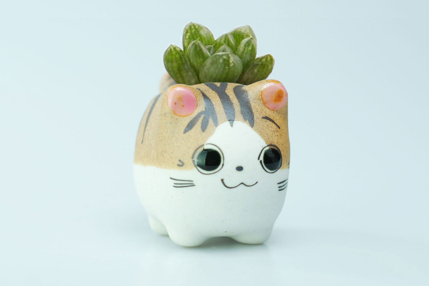 VanEnjoy Original Design Handmade Mini Cute Cartoon Ceramic Succulent Pots Planters With Drainage Hole - Cat Gifts for Cat Lovers Office - Pack of 5