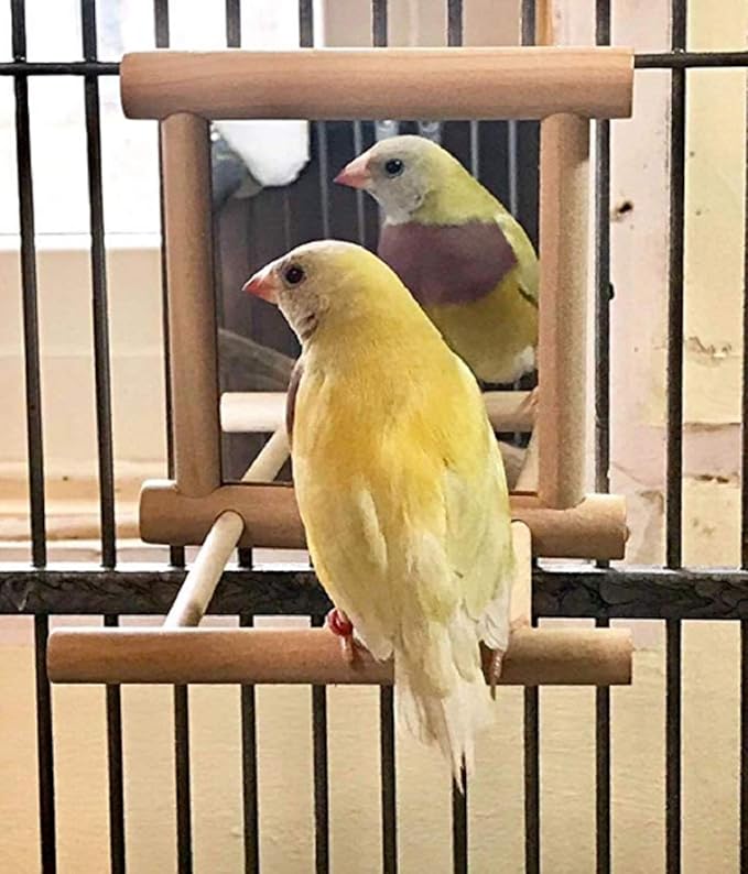 zmgmsmh Birds Mirror for Cage,Parrot Hanging Swing with Mirror,Natural Wooden Play Mirror Pet Bird Cage Accessories with Metal Hook